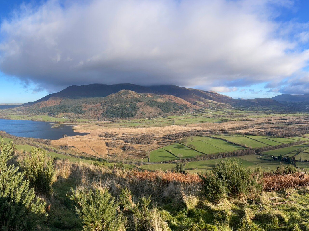 Whinlatter Forest-Braithwaite必去景点