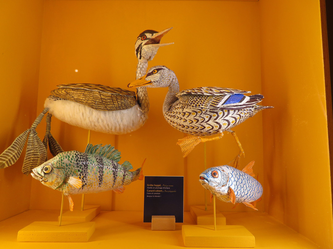 Musee du Papier景点图片