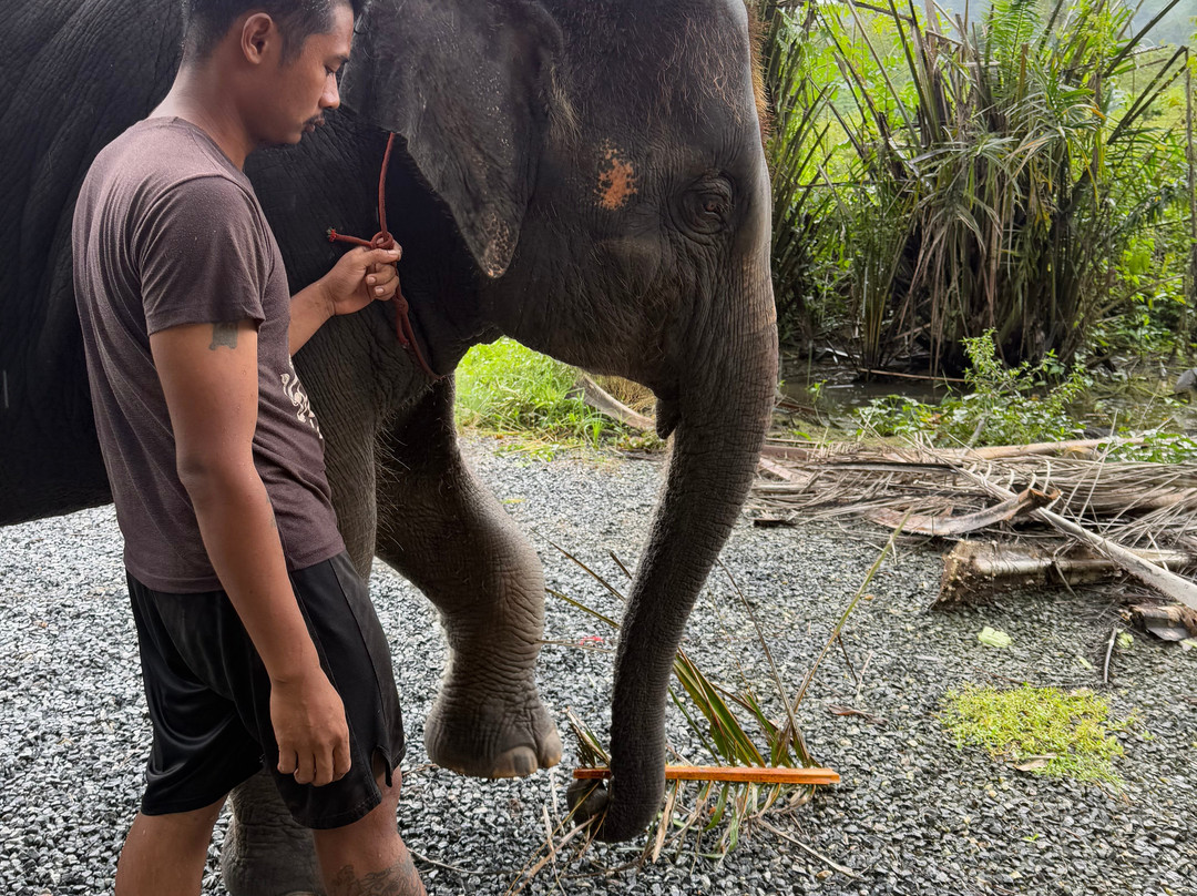 Krabi Elephant​ Heaven​-奥南必去景点