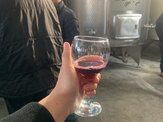 KTW Wine Shop in Batumi-巴统必去景点