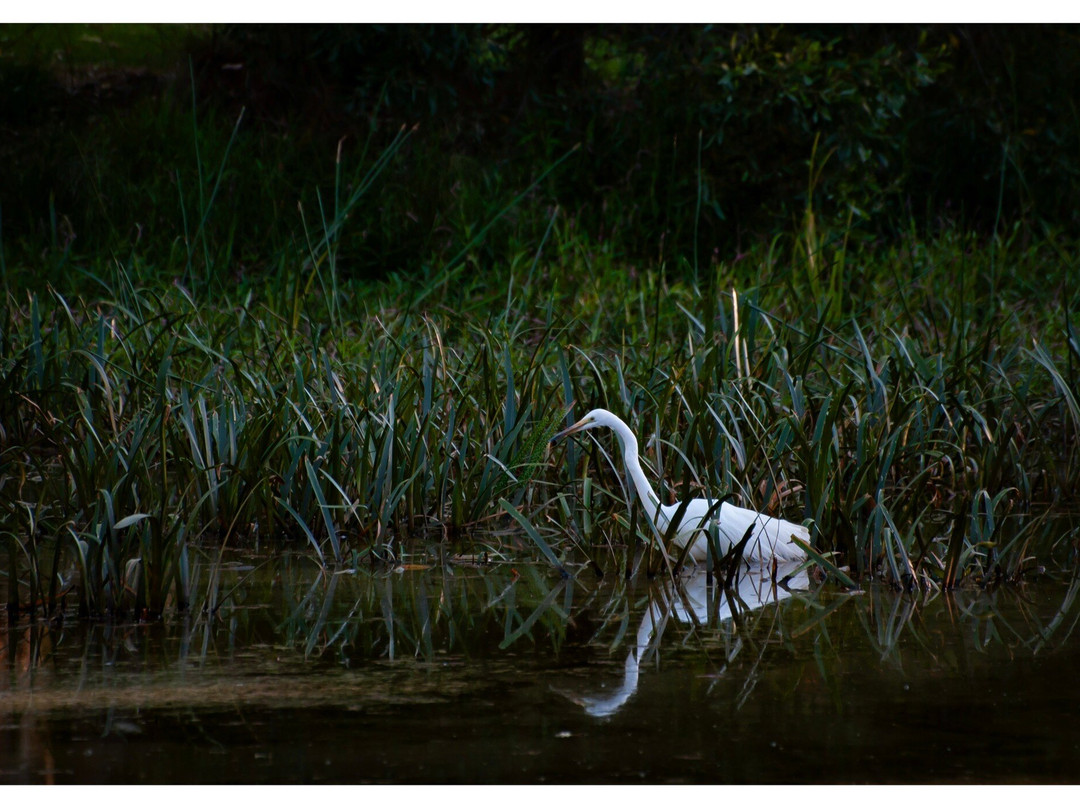 Balyang Sanctuary-季隆必去景点