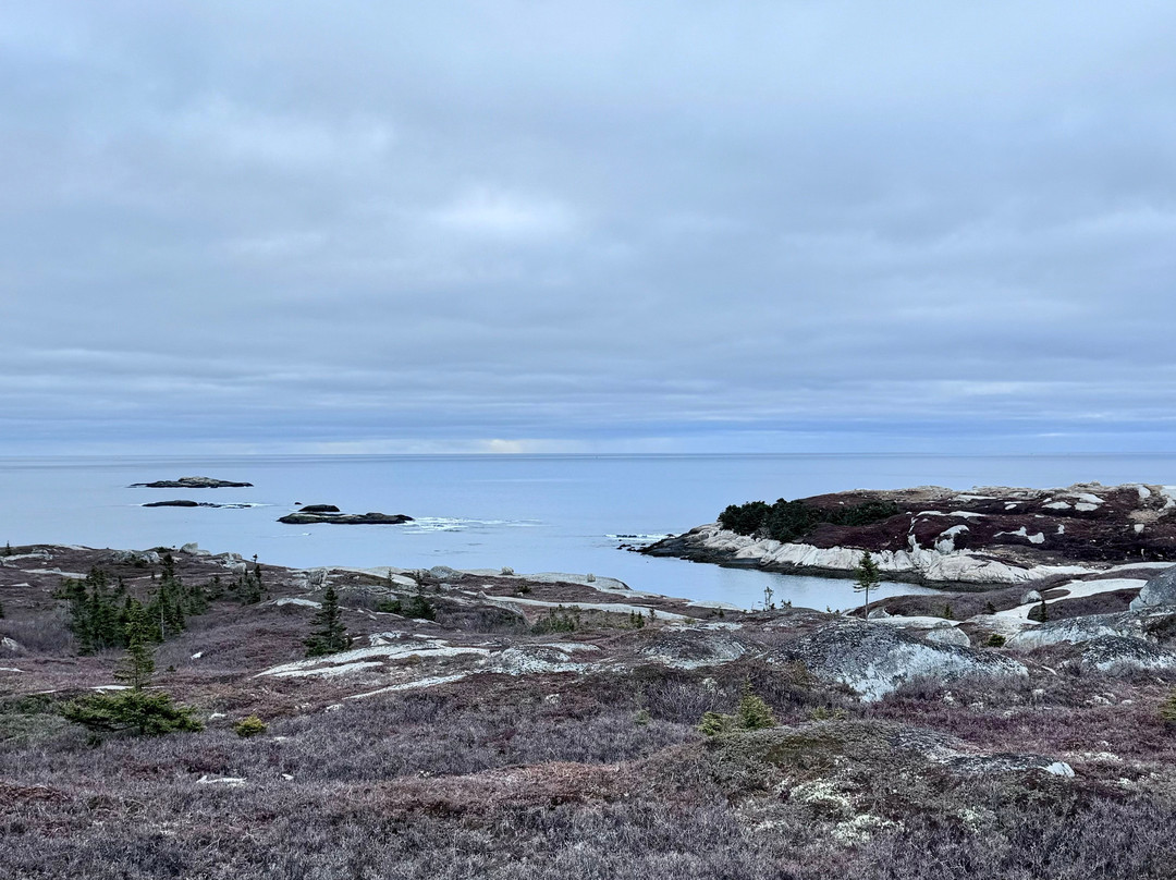 Polly's Cove Hiking Trail景点图片