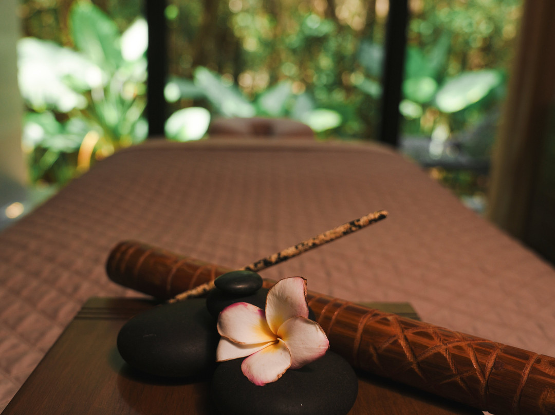 Cenote Spa-普拉亚德尔卡曼必去景点