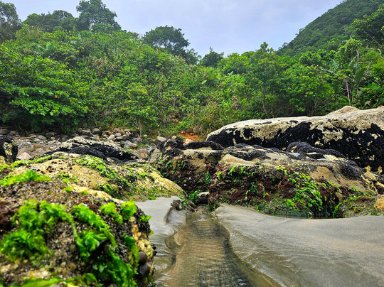 Praia Itaquitanduva-Sao Vicente必去景点