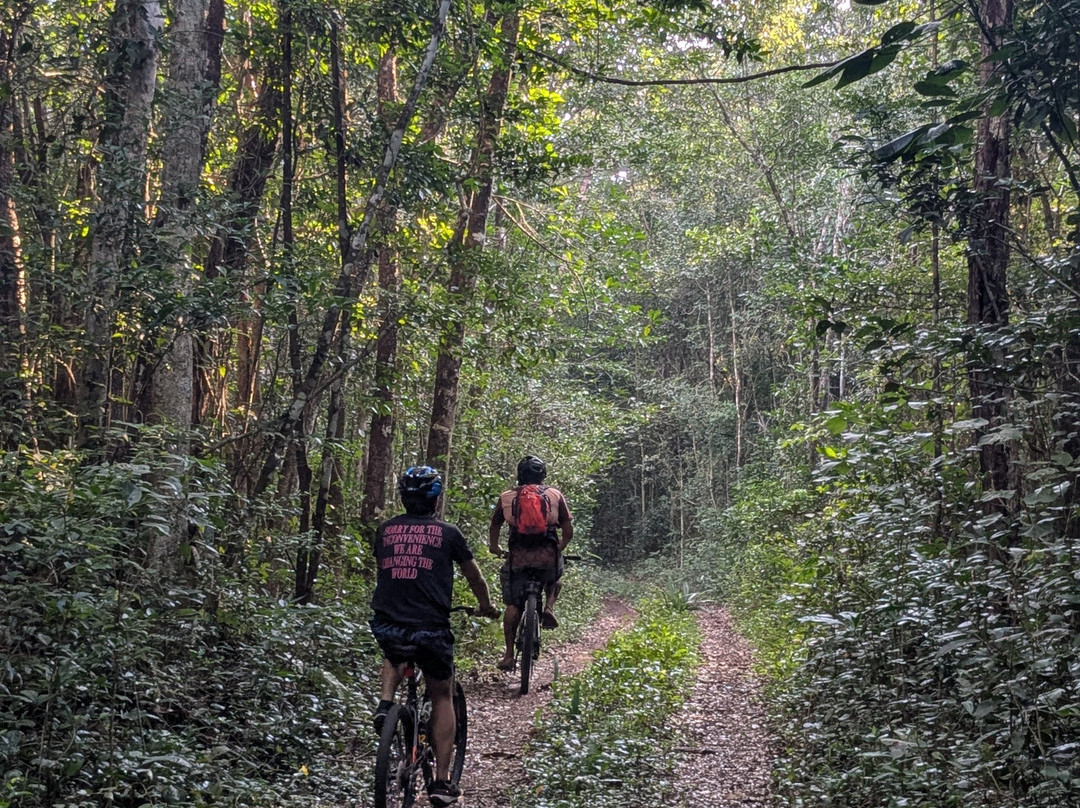 Báalam Nah; Experiencias de Aventura.-Felipe Carrillo Puerto必去景点