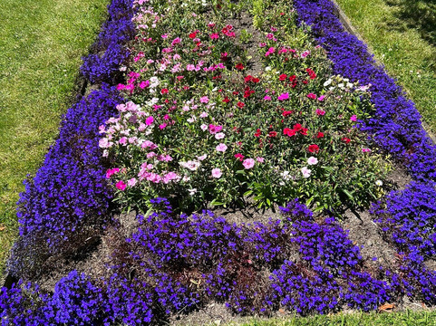 奥塔哥第一教堂-但尼丁必去景点