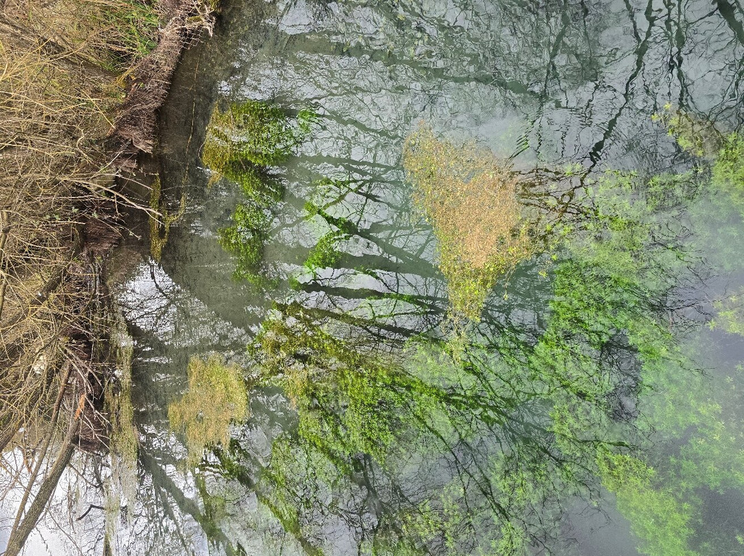 Lago di Posta Fibreno-Posta Fibreno必去景点