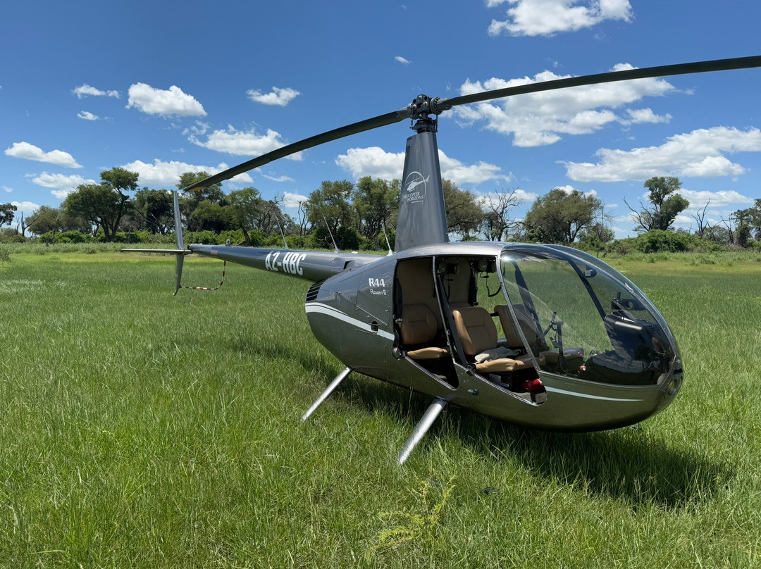 Helicopter Horizons景点图片