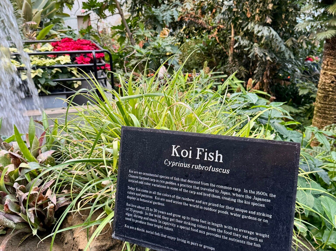 Foellinger-Freimann Botanical Conservatory-韦恩堡必去景点