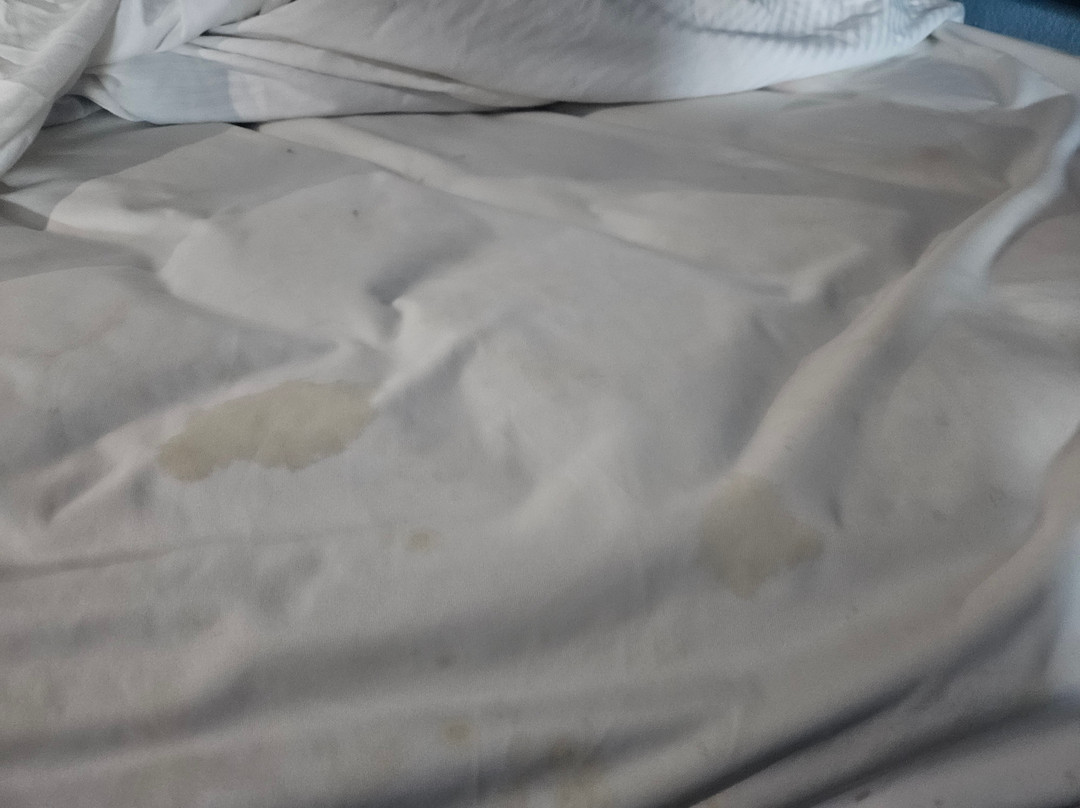 Rodeway Inn Calhoun South主图