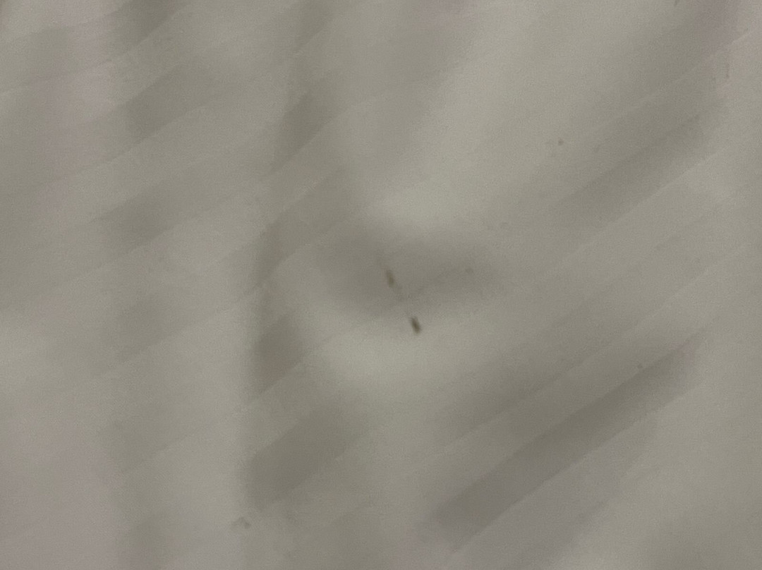 Best Western Plus Salmiya主图