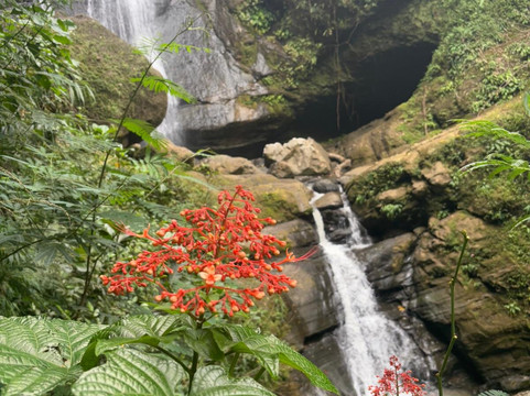 Toraja Wonderful Tours-兰特包必去景点