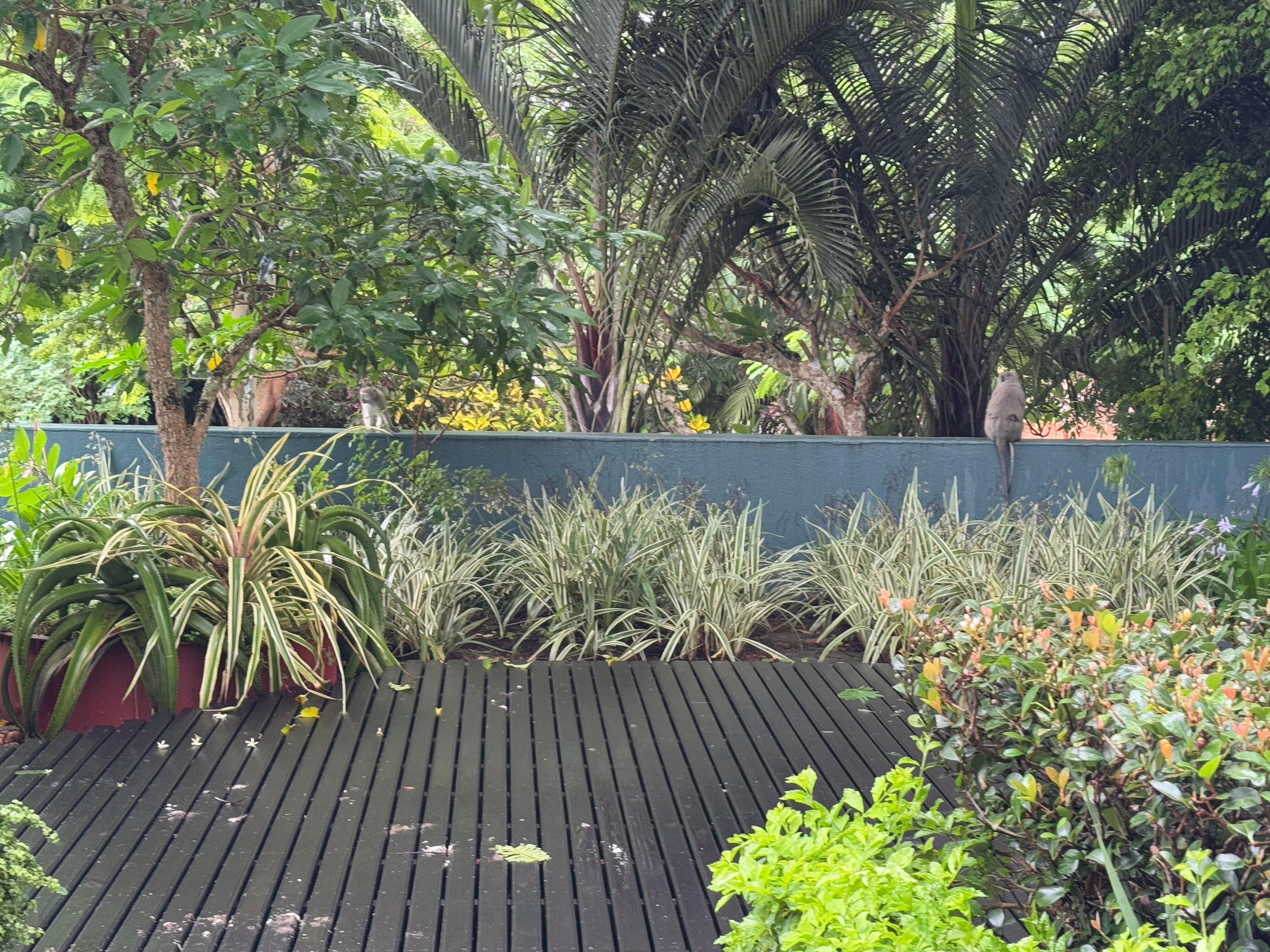Serene-estate Boutique Guesthouse-官方