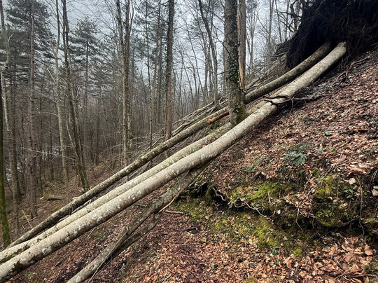 Incoming Greece-塞萨洛尼基必去景点