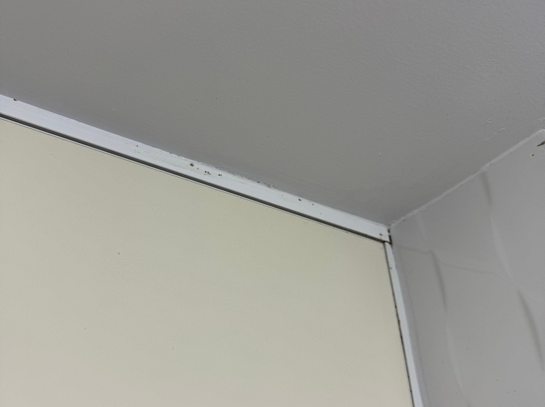 帆板度假村主图