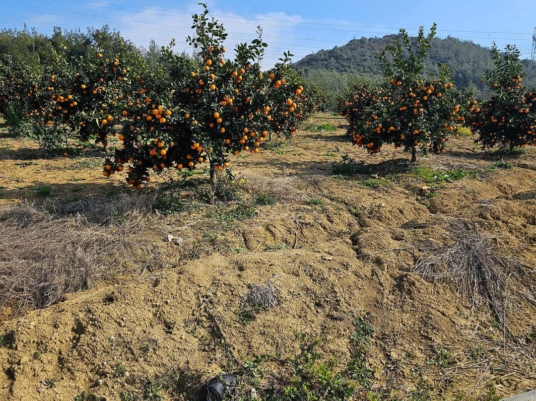 BN Hotel Thermal & Wellness主图