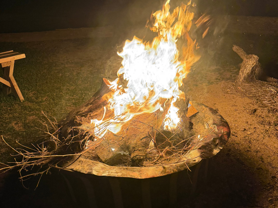 Independence Ranch Hog Hunting-Waelder必去景点