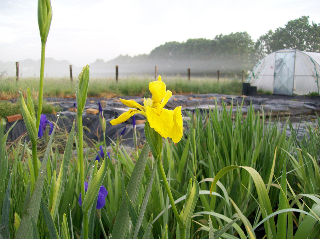 Seerosenfarm-Michendorf必去景点