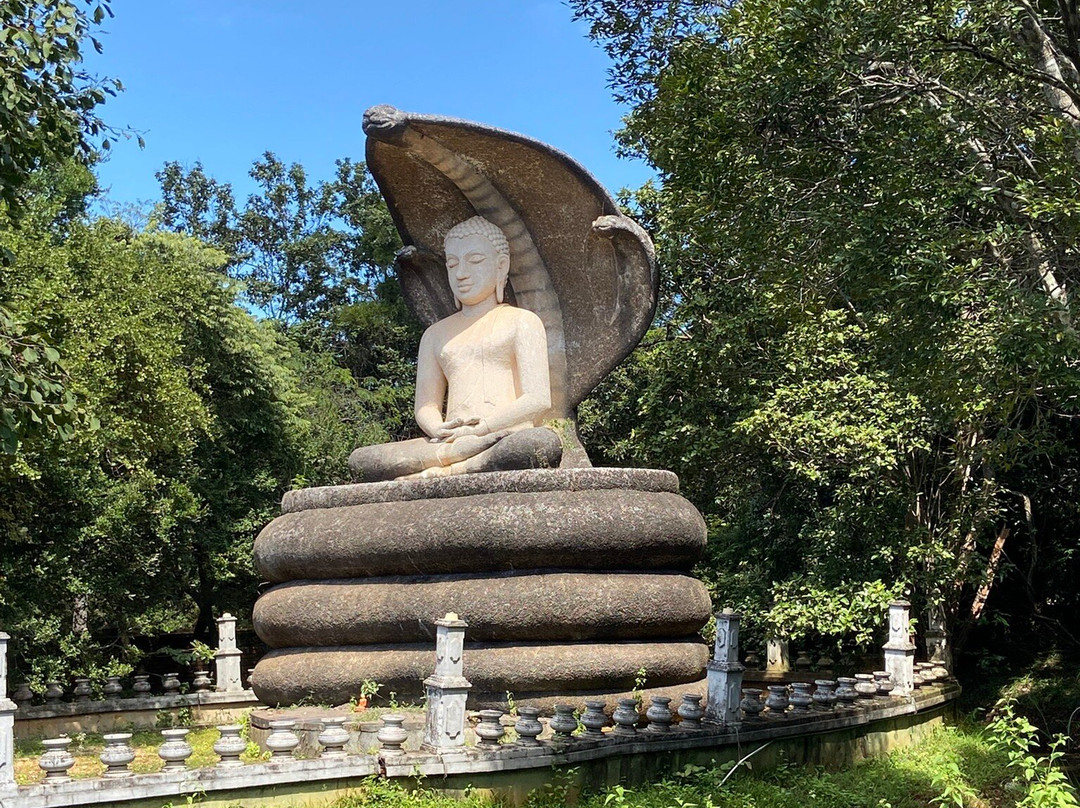 Indil Nature Tours Kandy-康提必去景点