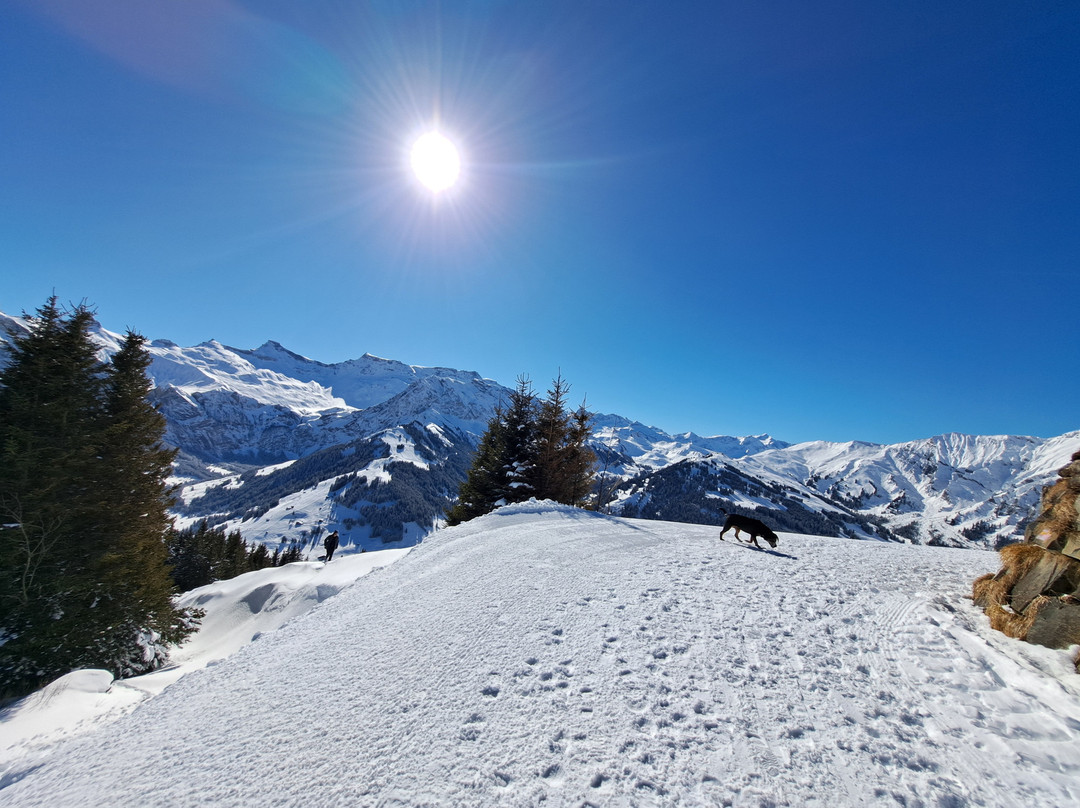 Ferien- und Familienhotel Alpina主图