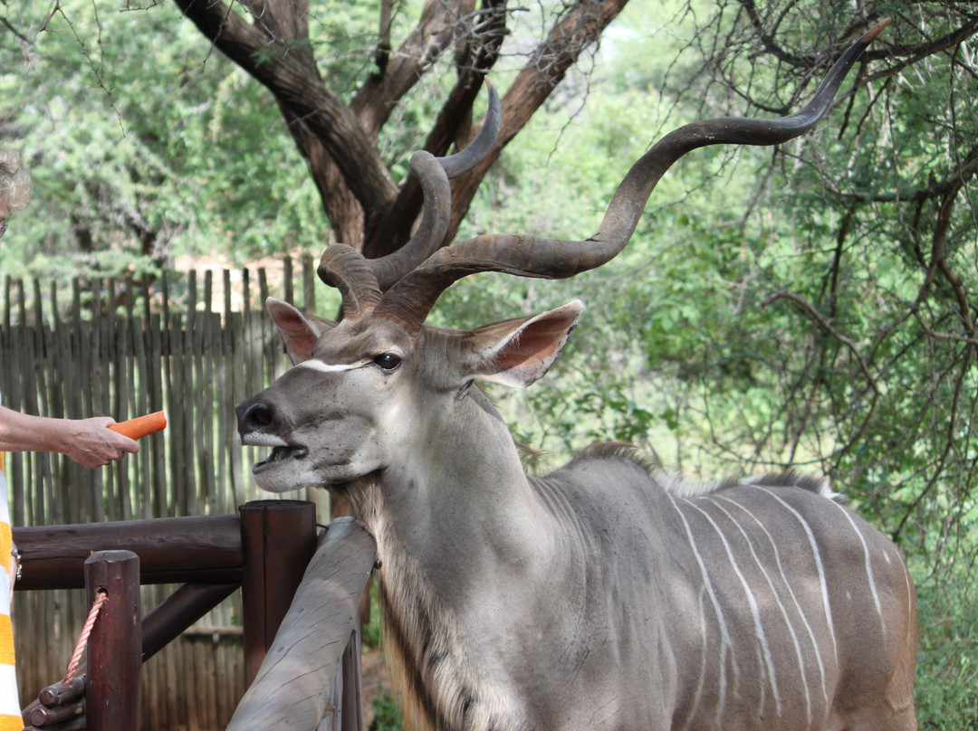 Khumbula Iafrica主图