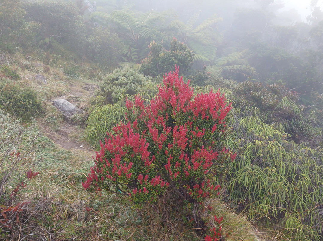 Mount Bawakaraeng-Malino必去景点