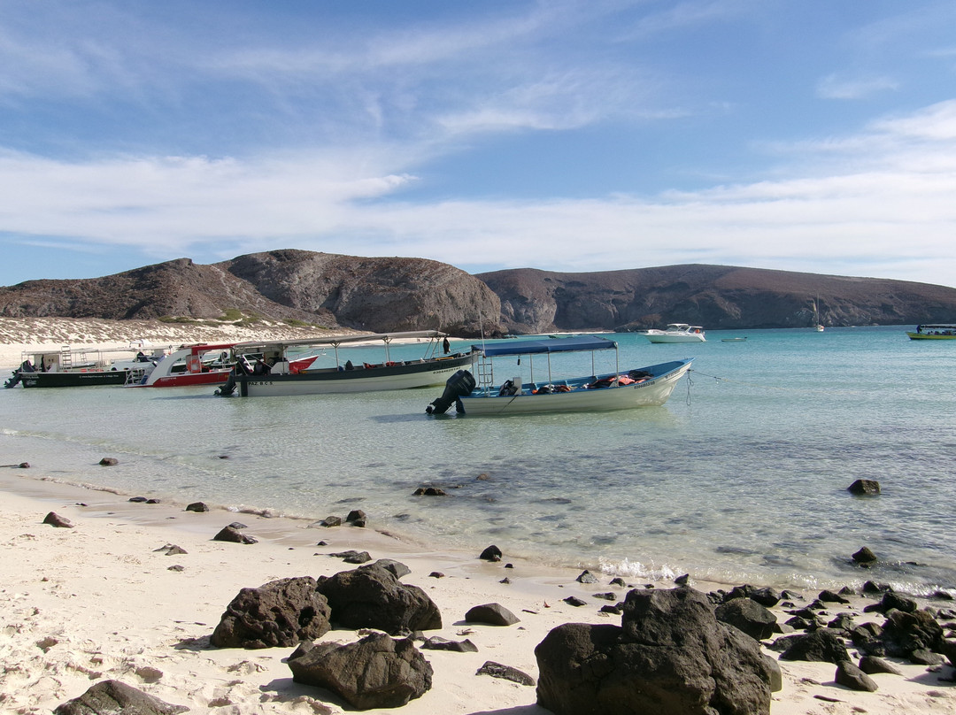 Baja Toto Tours-拉巴斯必去景点