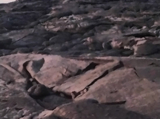 Moges Ethiopia Tours-亚的斯亚贝巴必去景点