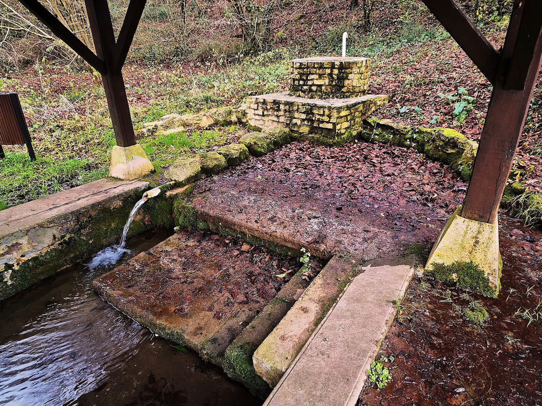 Lavoir de Fontaine le Comte景点图片