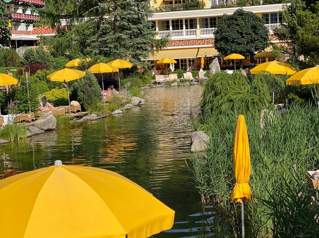 Wellnessresidenz Alpenrose主图