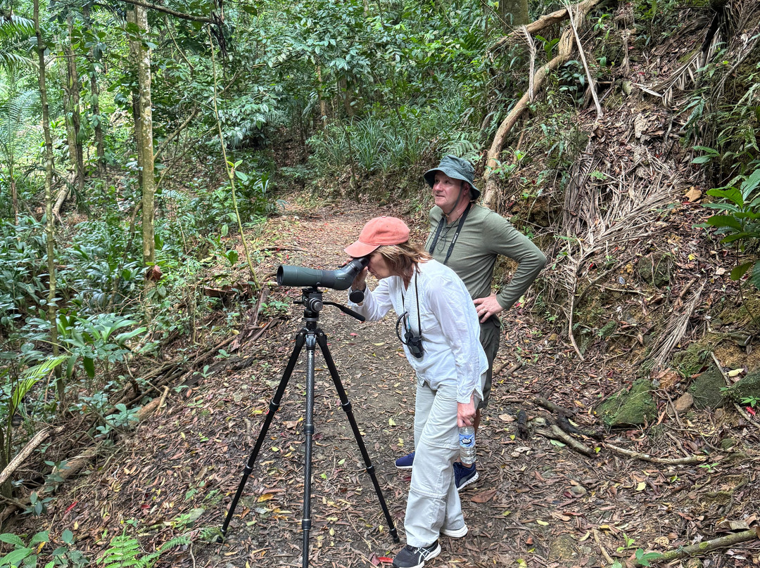 Eureka Natural History Tours-斯卡伯勒必去景点