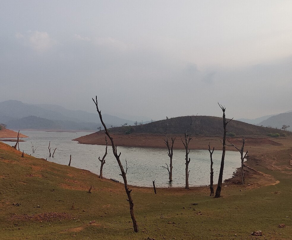 Wayanad Silver Green Holiday Enclaves主图