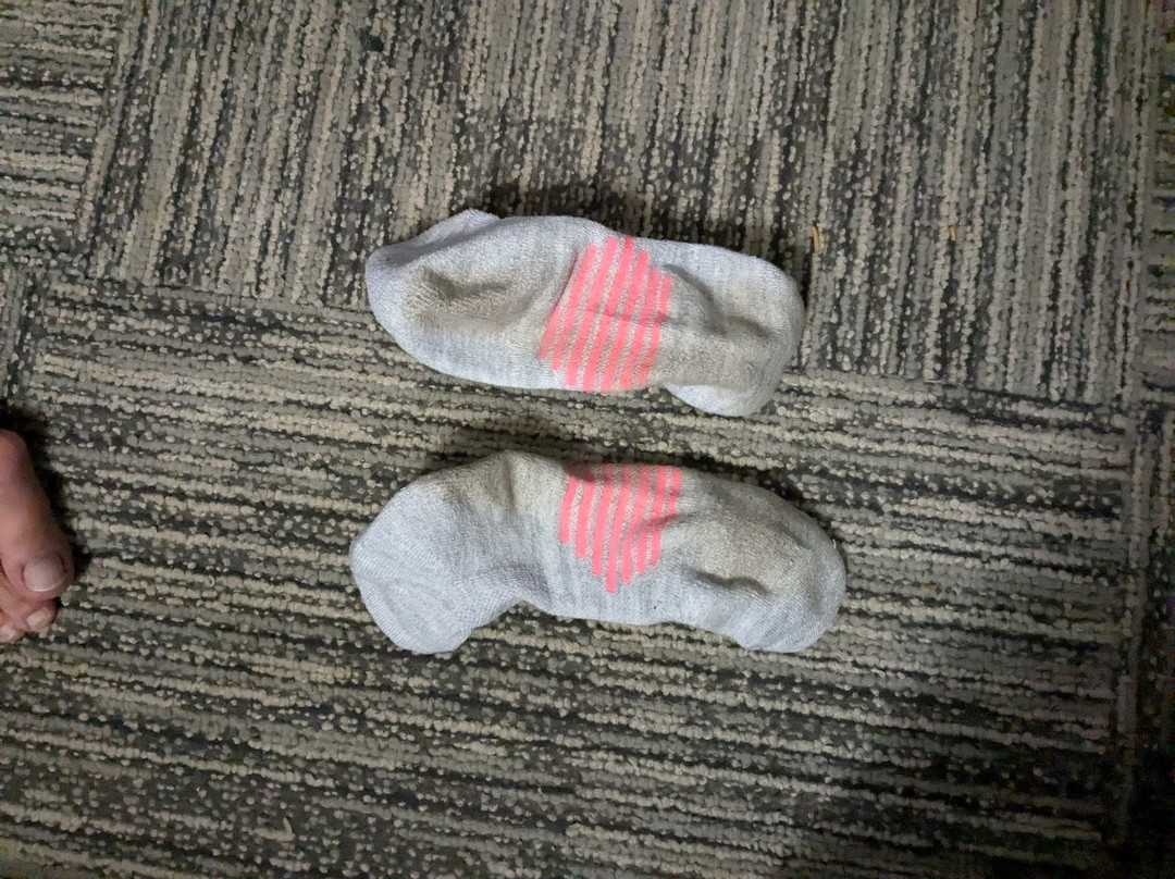 Red Roof PLUS+ & Suites Savannah - I-95主图