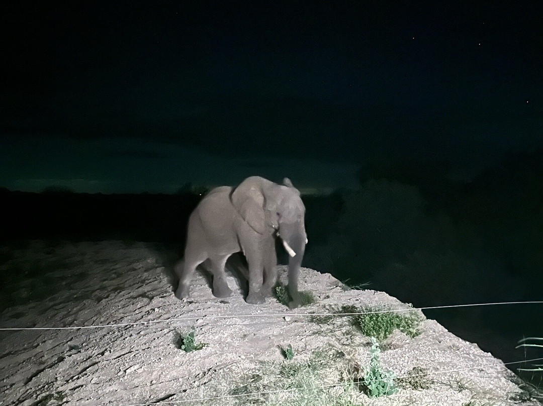 Tshukudu Game Lodge-霍德斯普鲁特必去景点
