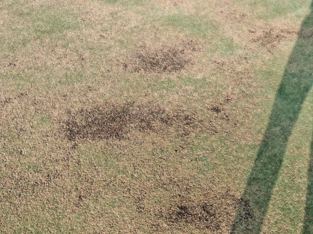 绿河谷清迈乡村俱乐部-夜林必去景点