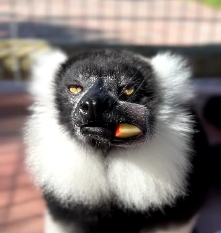 Redland Conservation Center-霍姆斯特德必去景点