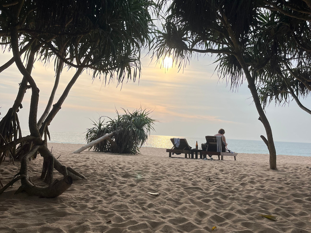 Sundara by Mosvold主图