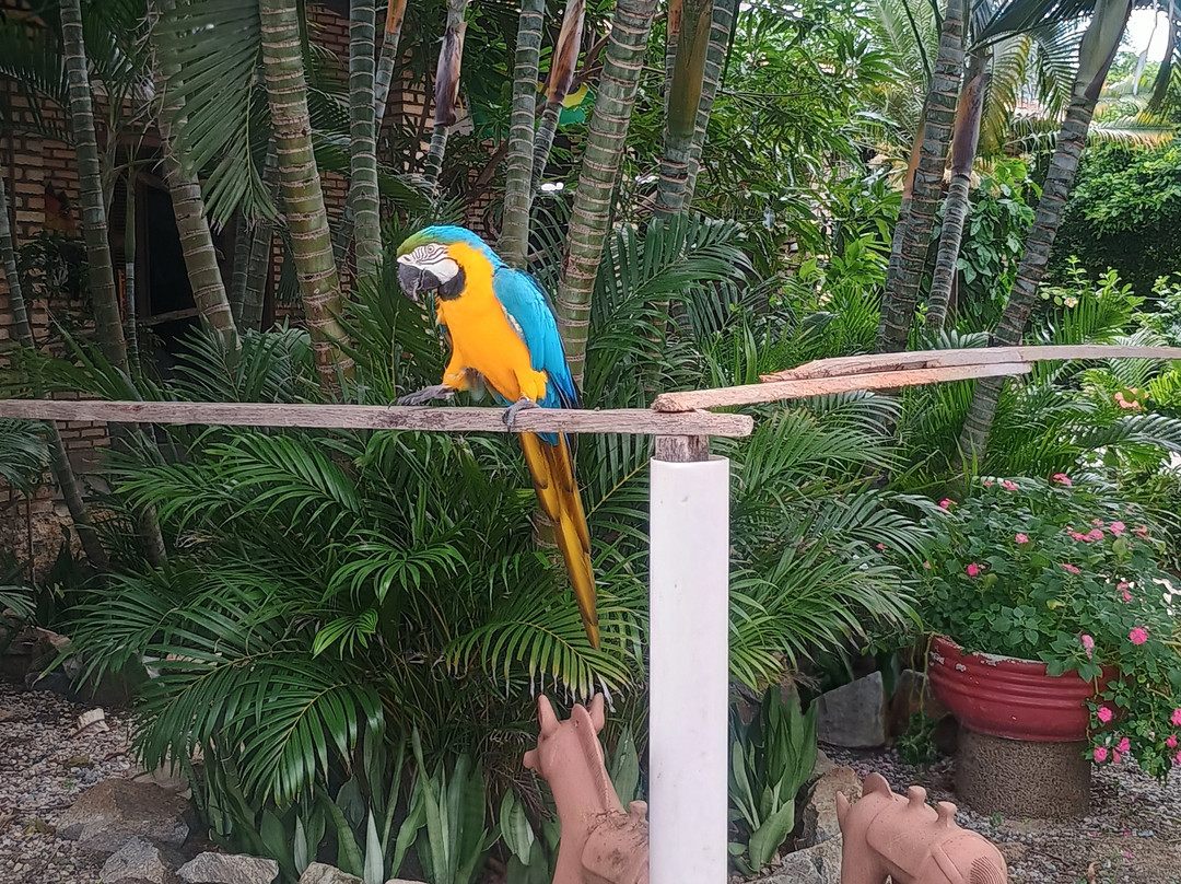 Pousada Casa do Alemao主图