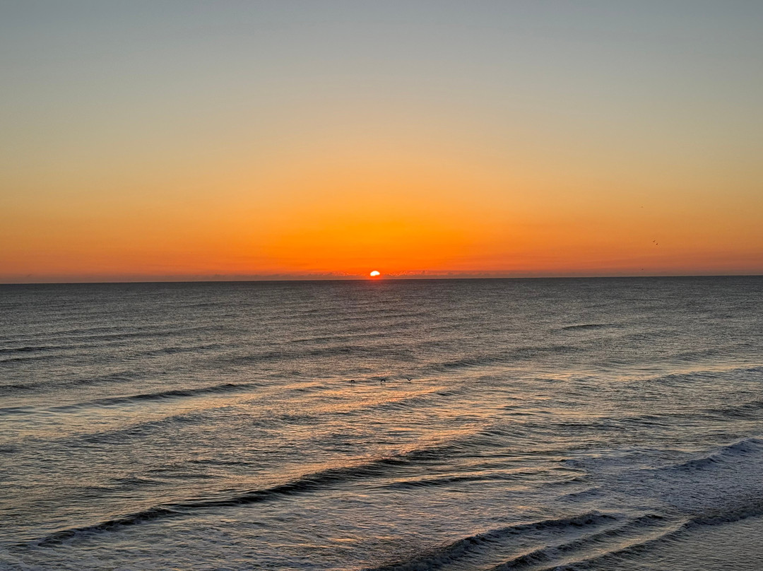 The Shores Resort & Spa主图