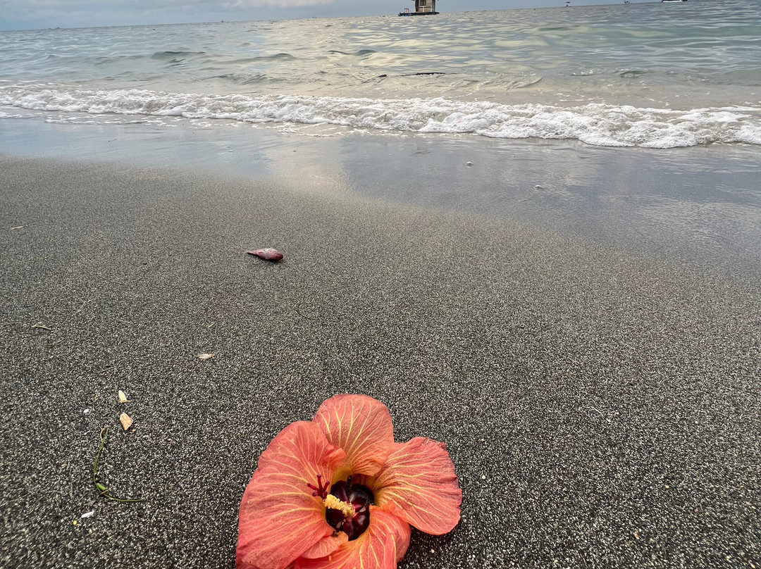 Guide Francophone Bali (Agus Bayu Putra)景点图片