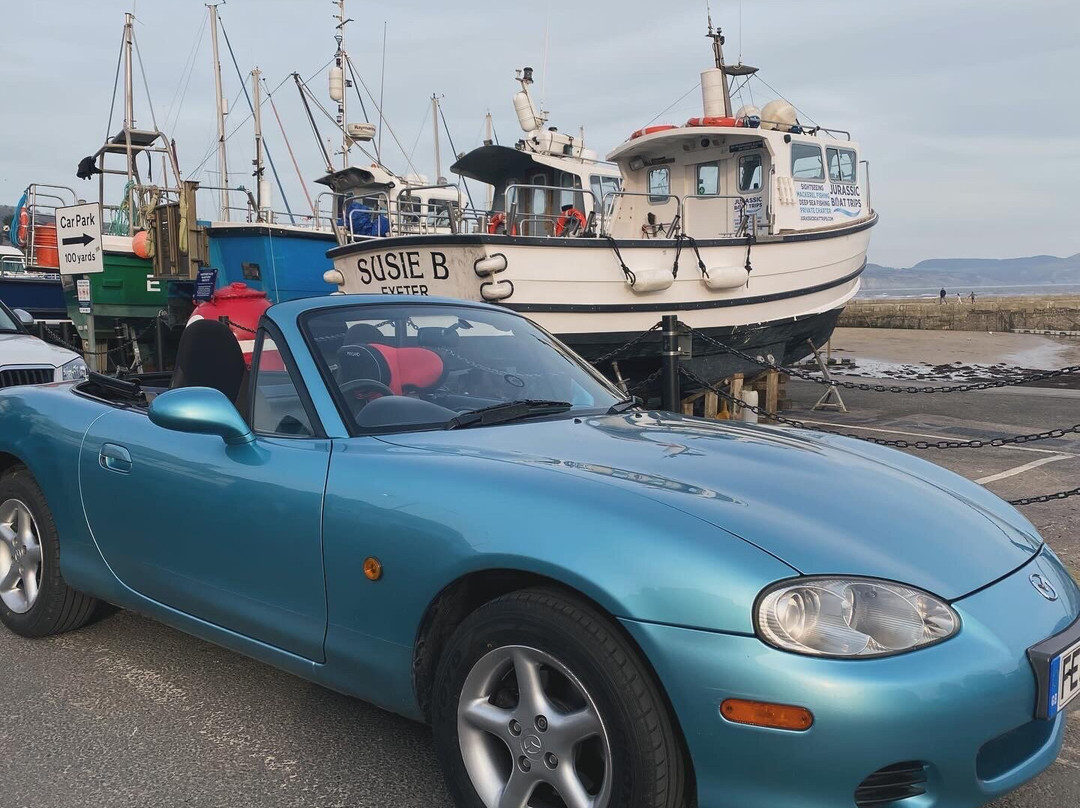 Drive Devon-Ottery St. Mary必去景点