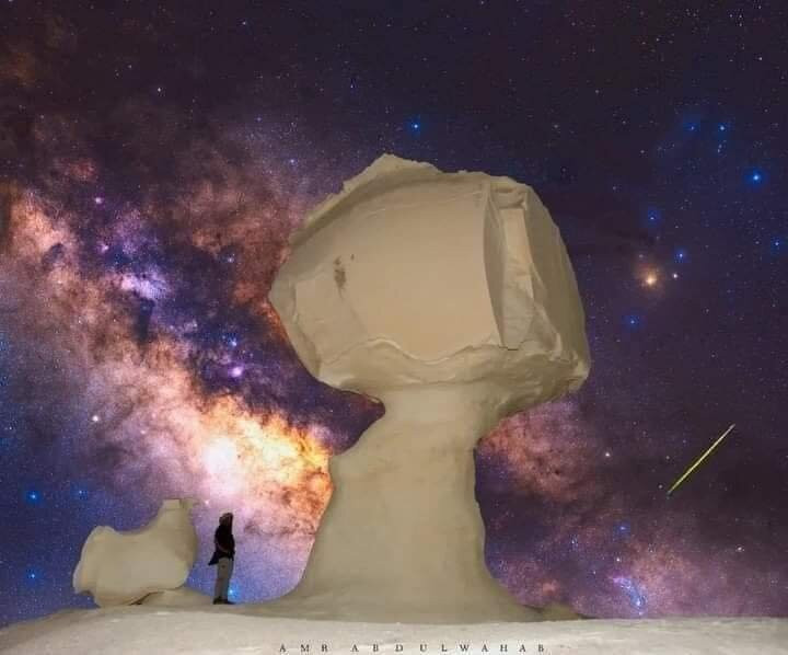 Bahariya Oasis Salt Lake-Bahariya Oasis必去景点