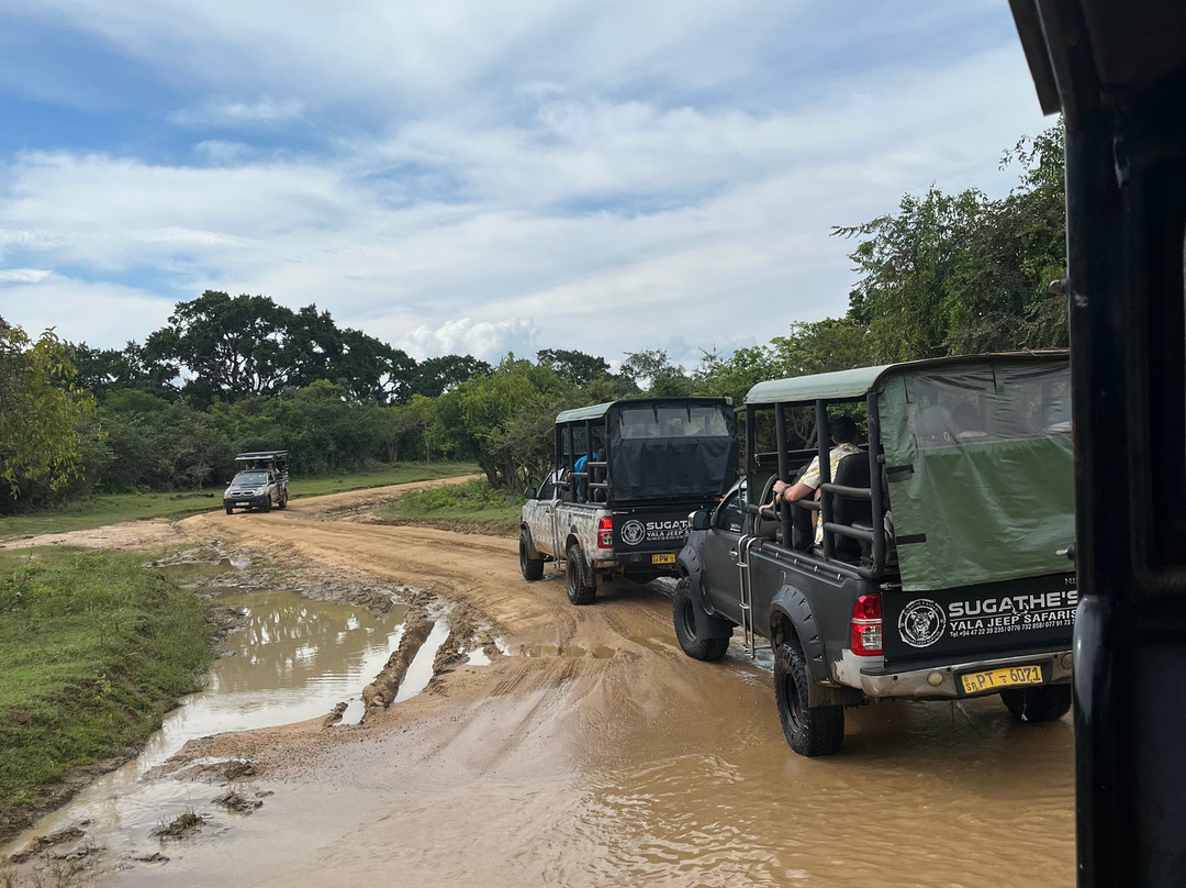 Yala National Park景点图片