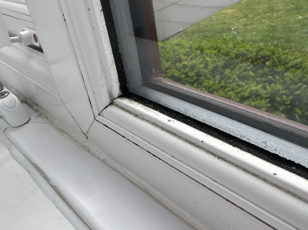 Travelodge Birmingham Sutton Coldfield主图