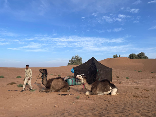 Bivouac Nour-迈哈米德必去景点