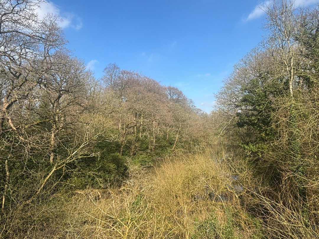 Lymm Dam-Lymm必去景点