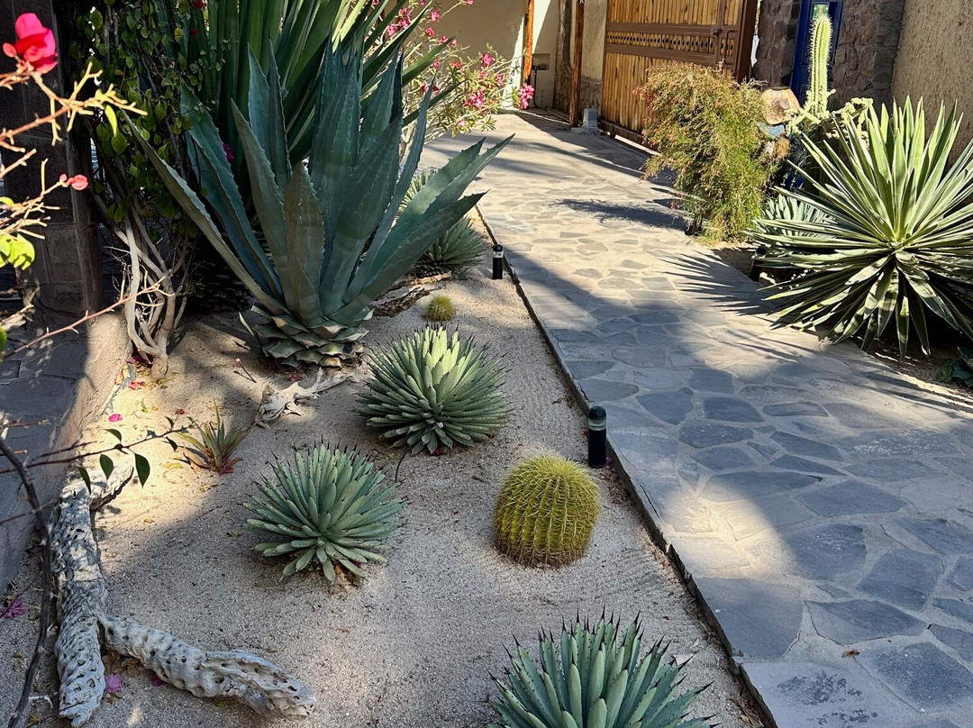 Las Cabanas de Loreto主图