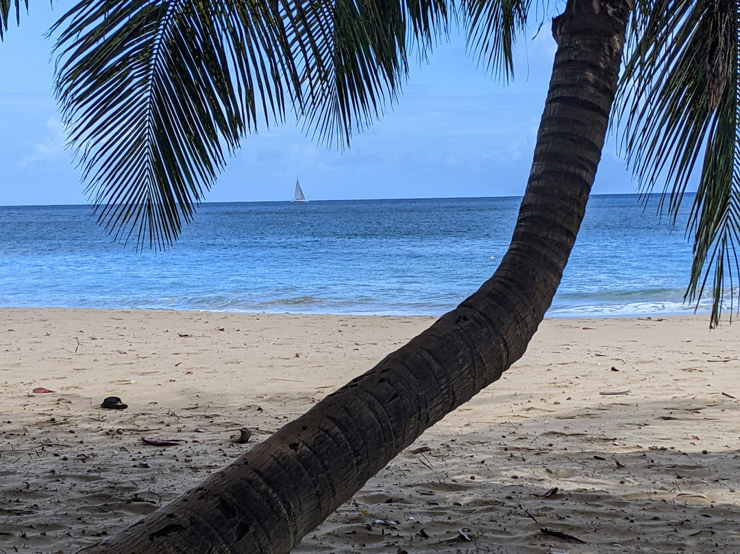 Plage de la Perle-Rifflet必去景点