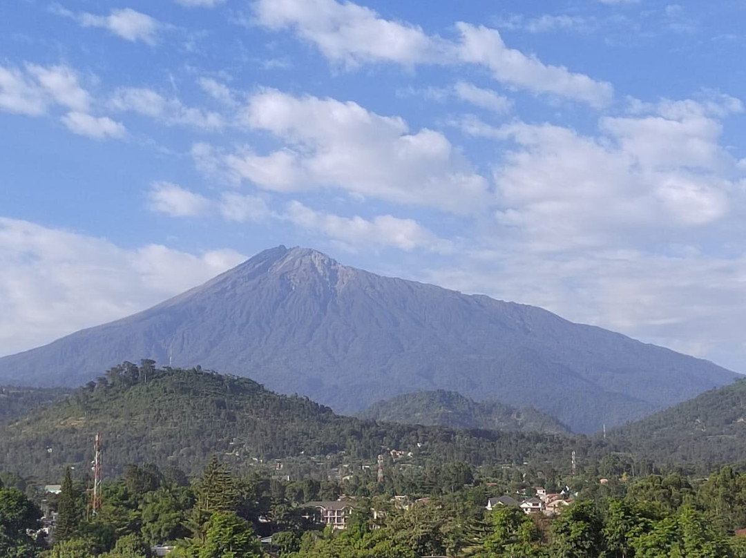 Somewhere in Africa-阿鲁沙必去景点