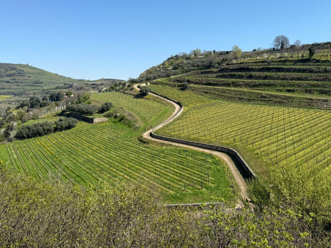 The Soave Castle景点图片